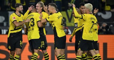 بوروسيا دورتموند يتخطى فيردر بريمن ويتصدر البوندزليجا مؤقتا.. فيديو