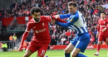 التعادل 1-1 يحسم شوطا مثيرا بين ليفربول وبرايتون بالدوري الإنجليزي.. فيديو