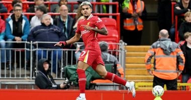 ليفربول ضد برينتفورد.. لويس دياز يفتتح أهداف الريدز فى الدقيقة 13 “فيديو”