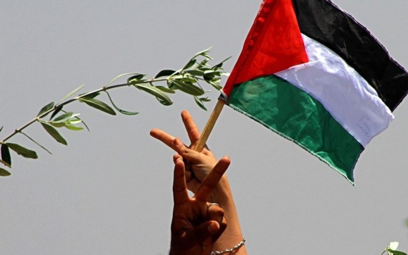 اليوم العالمي للتضامن مع الفلسطينيين: دعوات لإقامة الدولة وإدانة لانتهاكات الاحتلال