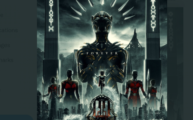 مشاهدة تحميل فيلم 2 Black Panther Wakanda Forever مترجم 2022 .. تحميل Black Panther 2 Full Movie