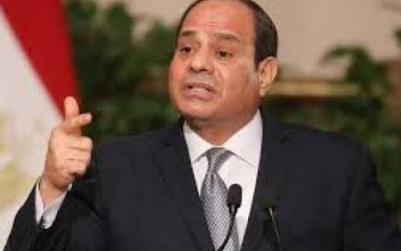 الرئيس المصري للمنظمات اليهودية الأمريكية: حل قضية فلسطين سيغير واقع المنطقة المتأزم
