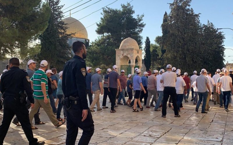 عشرات المستوطنين يقتحمون المسجد "الأقصى" تحت حماية القوات الإسرائيلية