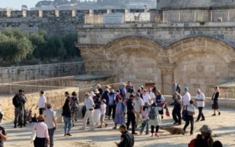 مستوطنون يتلقون شروحات توراتية قرب المسجد "الأقصى"