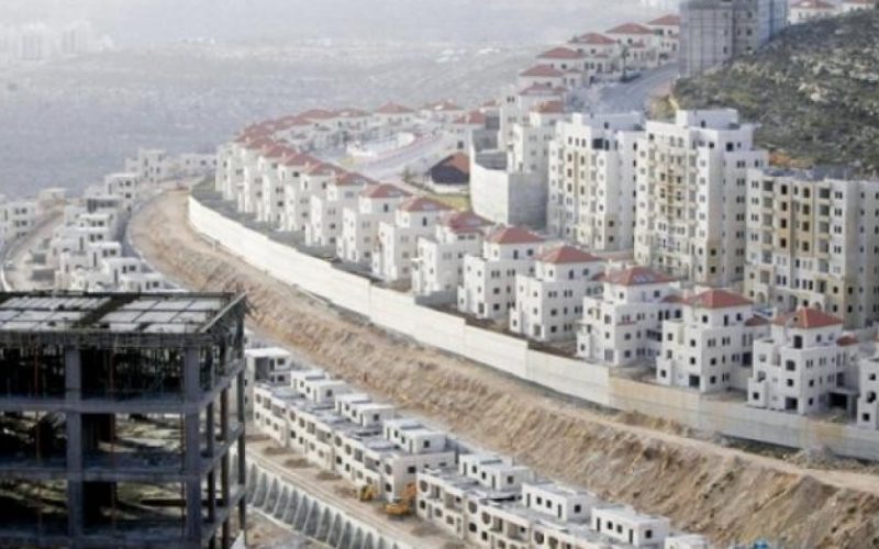 قرار مرتقب من مجلس الأمن يطالب إسرائيل بالوقف الفوري للاستيطان