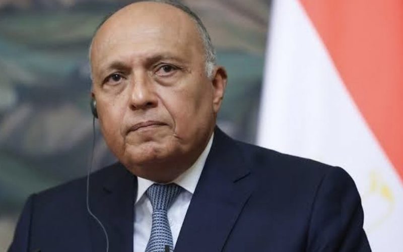 لنقل رسالة تضامن.. وزير خارجية مصر يزور سوريا وتركيا غدًا