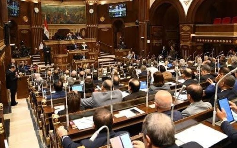 الدفع إجباري.. "الشيوخ" يقترح تخصيص نسبة من مرتبات المصريين بالخارج للدولة