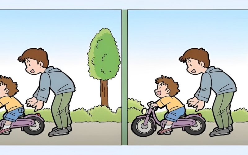 ركز جيدًا أمامك 20 ثانية للحل.. اكتشف 3 اختلافات فقط بين الصورتين