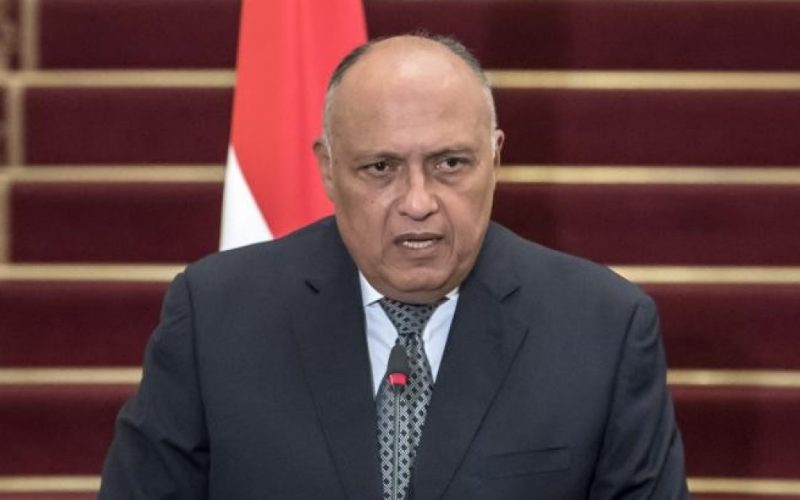مصر تطالب بتمثيل أوسع في مجلس الأمن الدولي