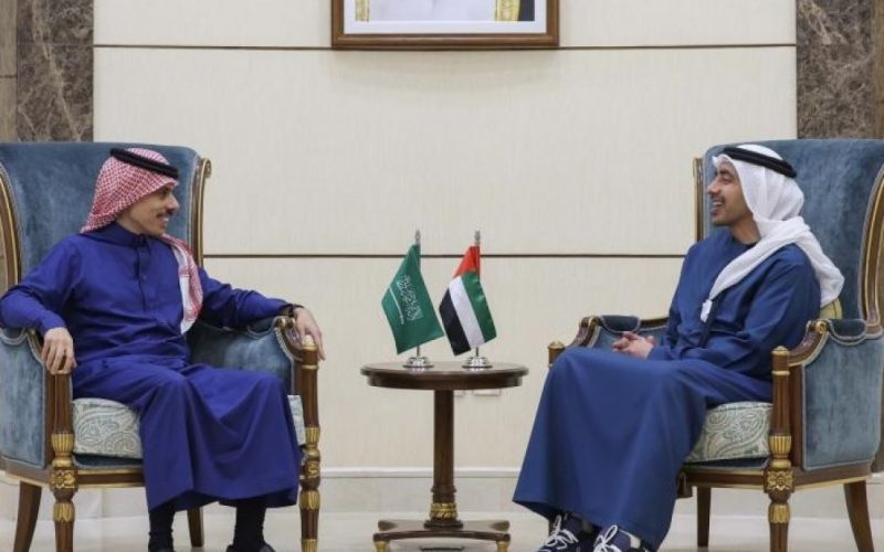 وزراء خارجية خليجيون يشاركون بقمة مجموعة الـ20 المنعقدة في نيودلهي