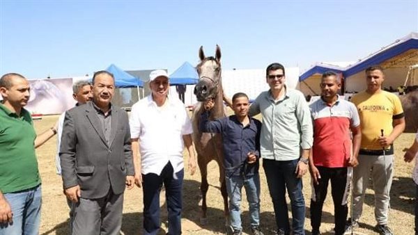 توزيع جوائز للفائزين فى مسابقة جمال الخيول العربية بمهرجان الشرقية